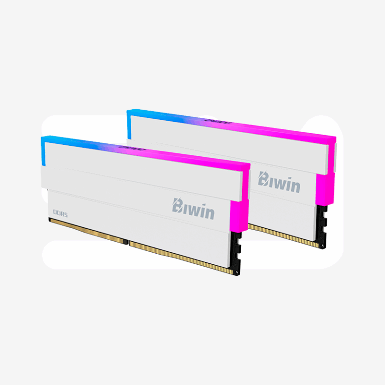 DDR5 PC BIWIN DW100 32GB (16X2) 6000MHZ CL36 WT